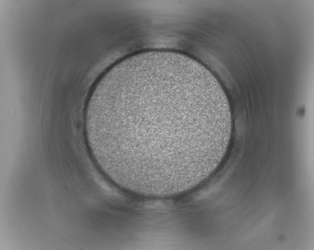 X0000090740721200708172007