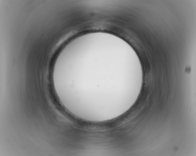 X0000090740722200708172007