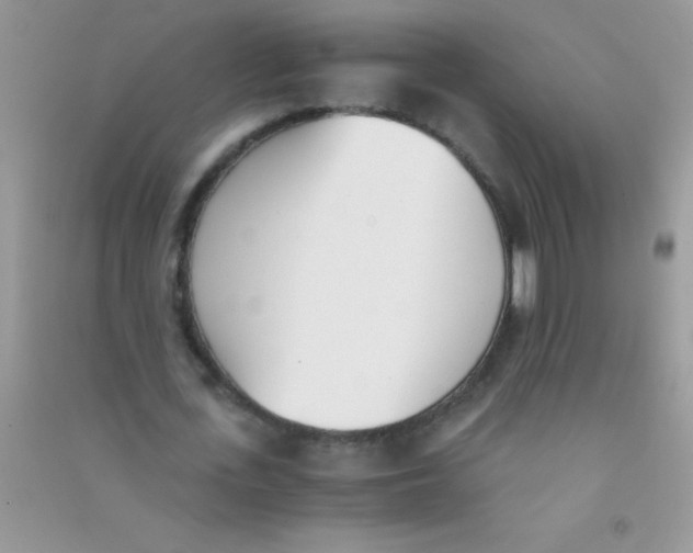 X0000090740723200708172007