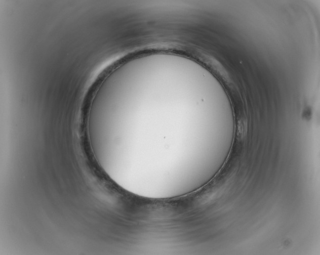 X0000090740724200708172007