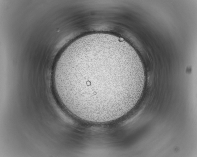 X0000090740725200708172007