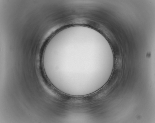 X0000090740726200708172007