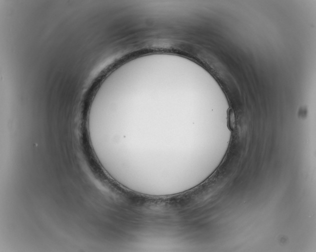 X0000090740728200708172007