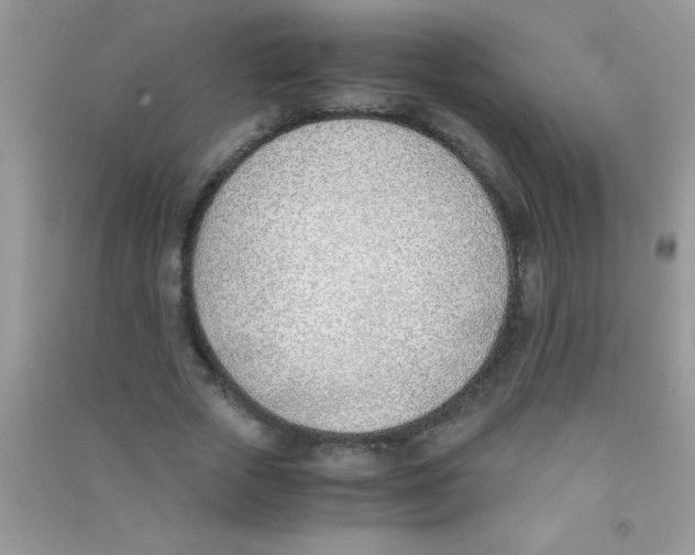 X0000090740729200708172007