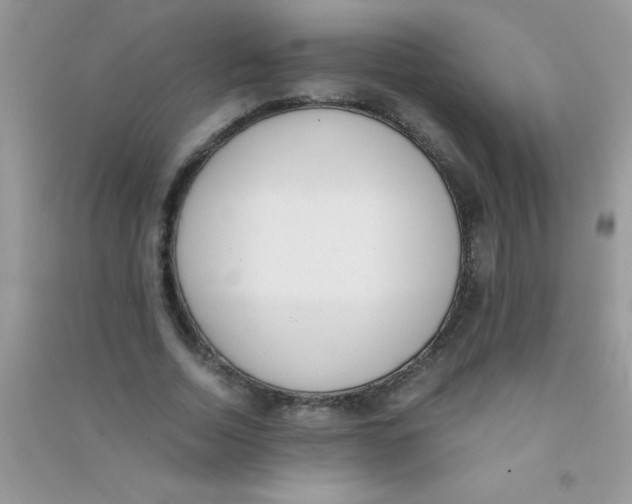 X0000090740730200708172007