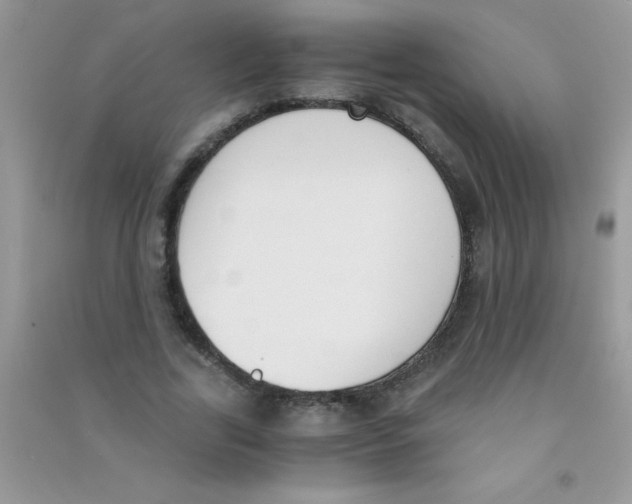 X0000090740731200708172007