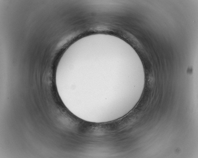 X0000090740732200708172007