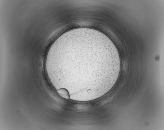 X0000090740733200708172007