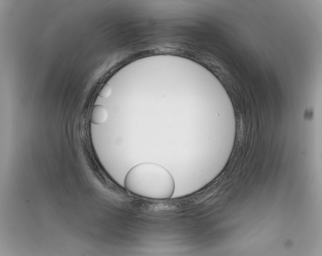 X0000090740734200708172007