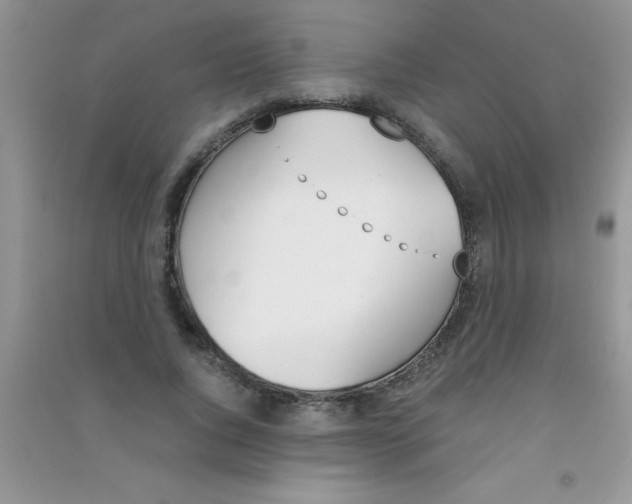 X0000090740736200708172007