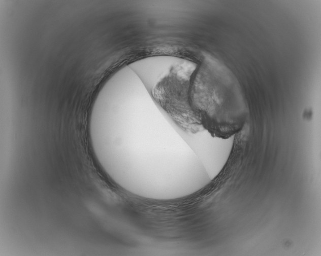 X0000090740737200708172007