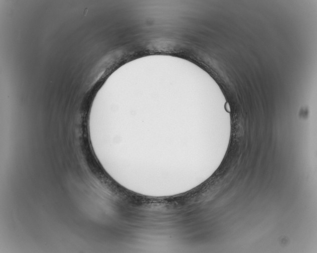 X0000090740738200708172007