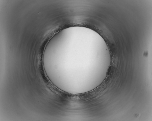 X0000090740740200708172007