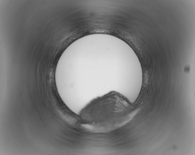 X0000090740741200708172007