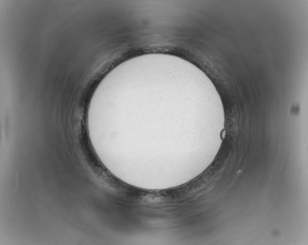 X0000090740742200708172007