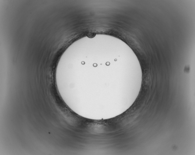 X0000090740743200708172007