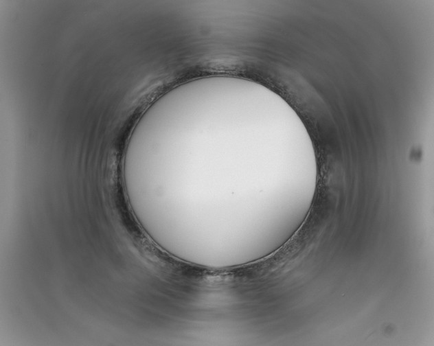 X0000090740744200708172007