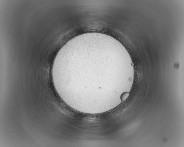 X0000090740745200708172007