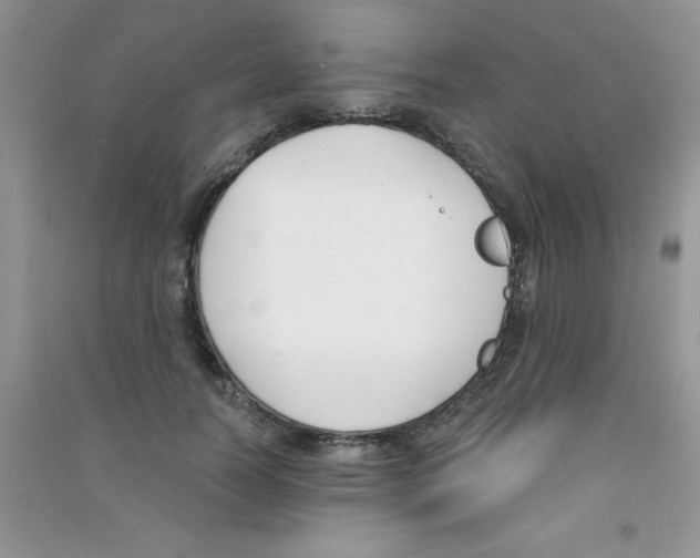 X0000090740746200708172007