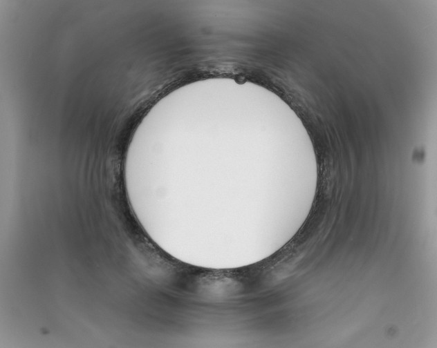 X0000090740747200708172007