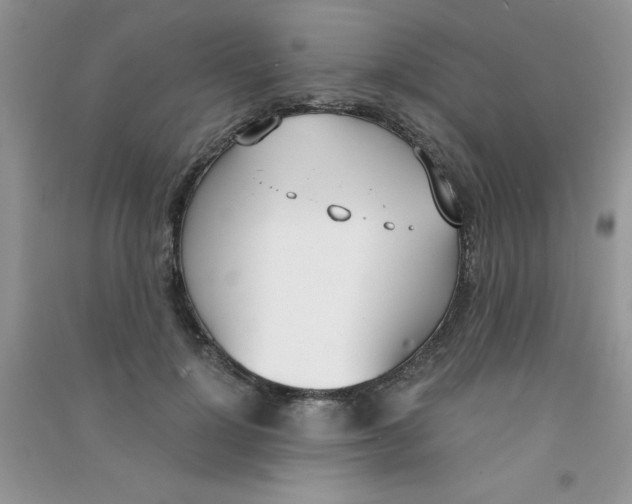 X0000090740748200708172007