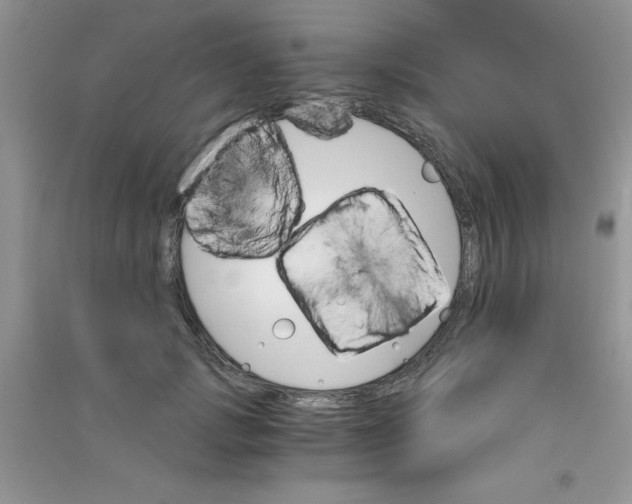 X0000090740749200708172007