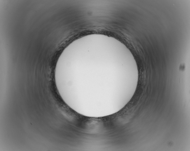 X0000090740750200708172007