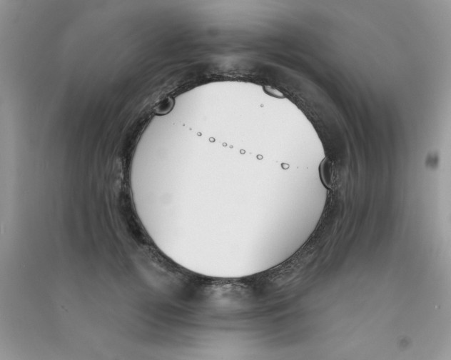 X0000090740752200708172007