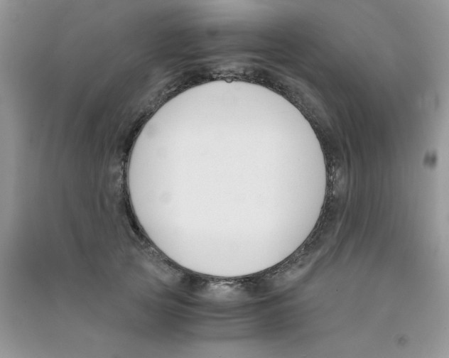 X0000090740753200708172007