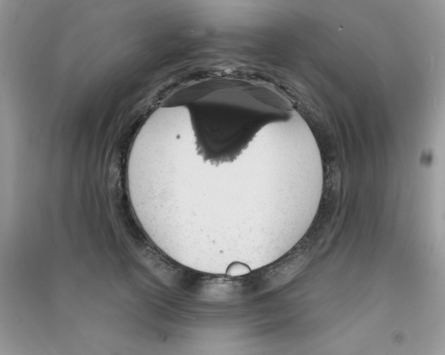 X0000090740754200708172007