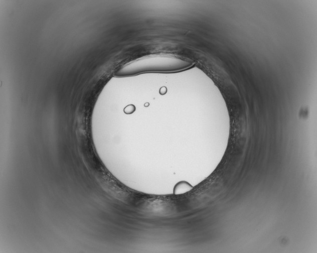 X0000090740755200708172007