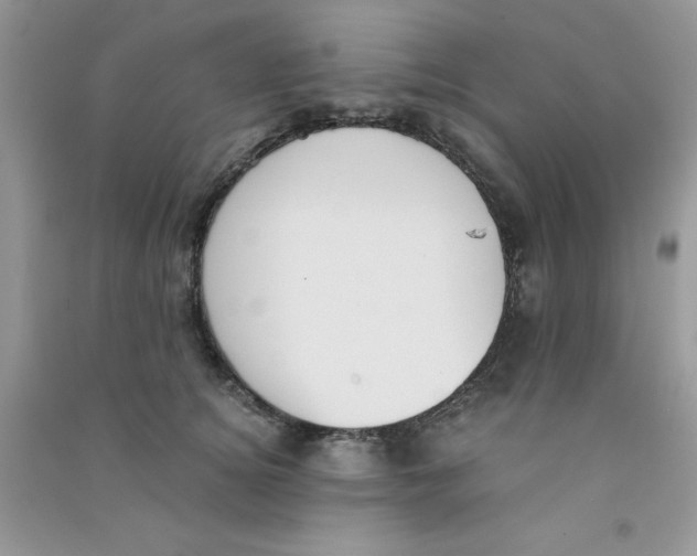 X0000090740756200708172007