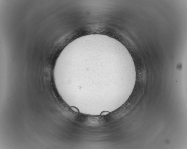 X0000090740757200708172007