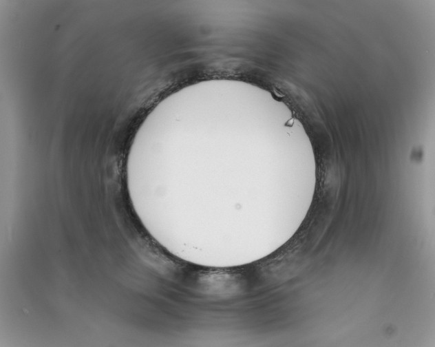 X0000090740759200708172007