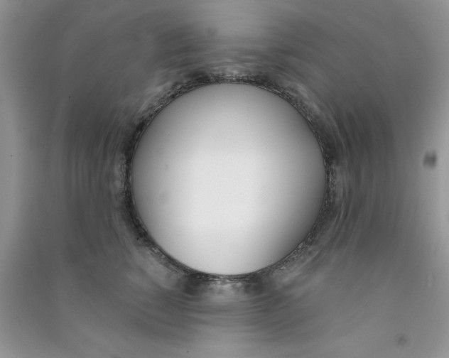 X0000090740760200708172007