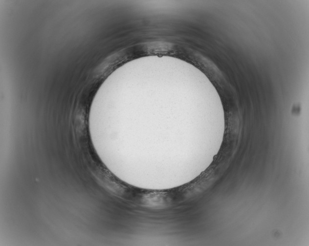 X0000090740761200708172007