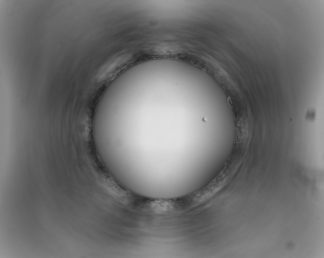 X0000090740762200708172007