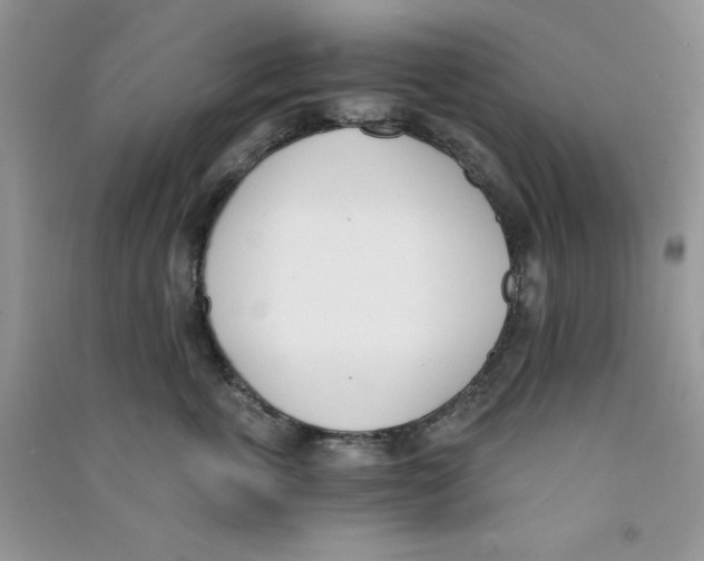 X0000090740763200708172007