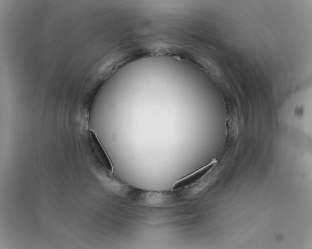 X0000090740766200708172007