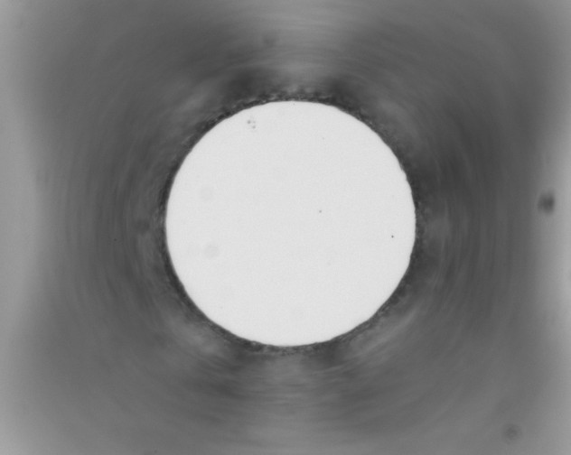 X0000090740769200708172007