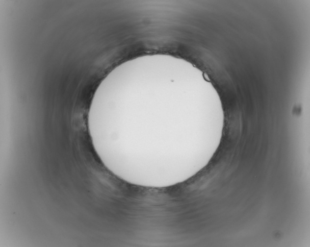 X0000090740770200708172007