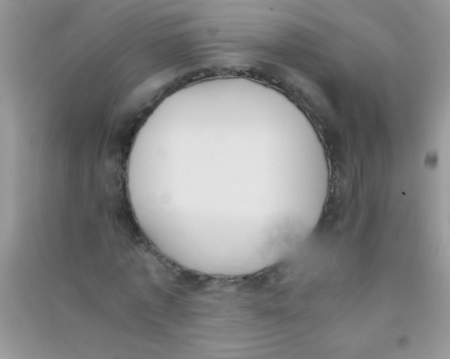 X0000090740773200708172007