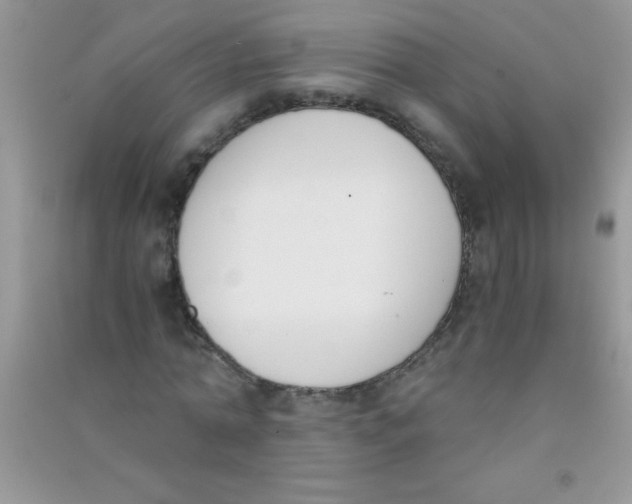 X0000090740774200708172007