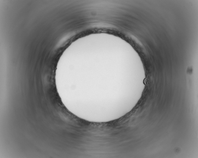 X0000090740775200708172007