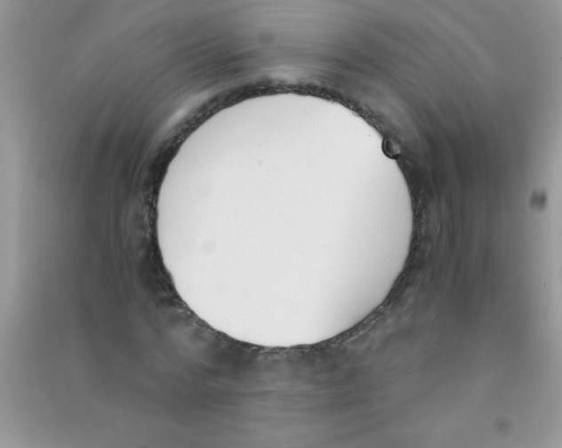 X0000090740776200708172007