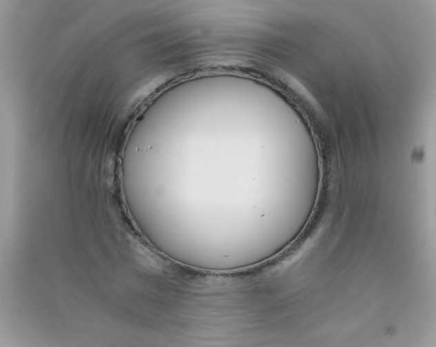 X0000090740777200708172007