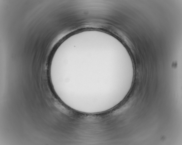 X0000090740779200708172007