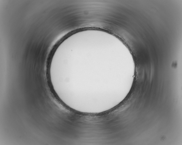 X0000090740780200708172007