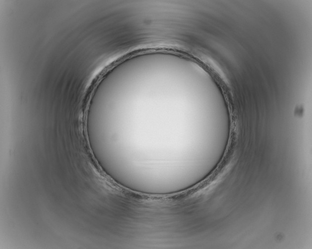 X0000090740781200708172007