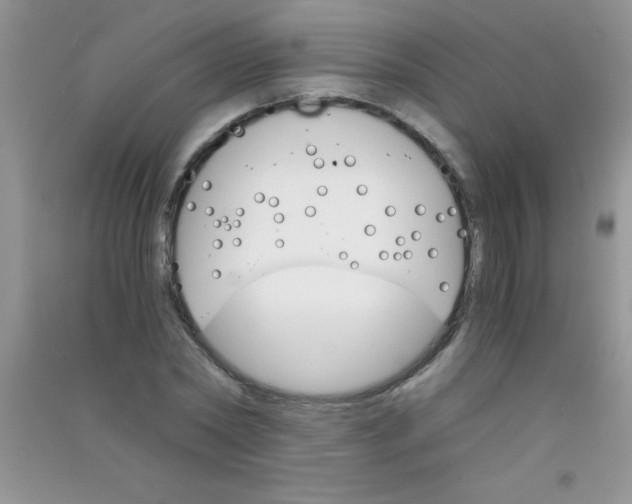 X0000090740782200708172007